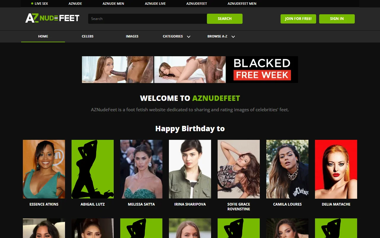 Screenshot of Aznudefeet Website Review